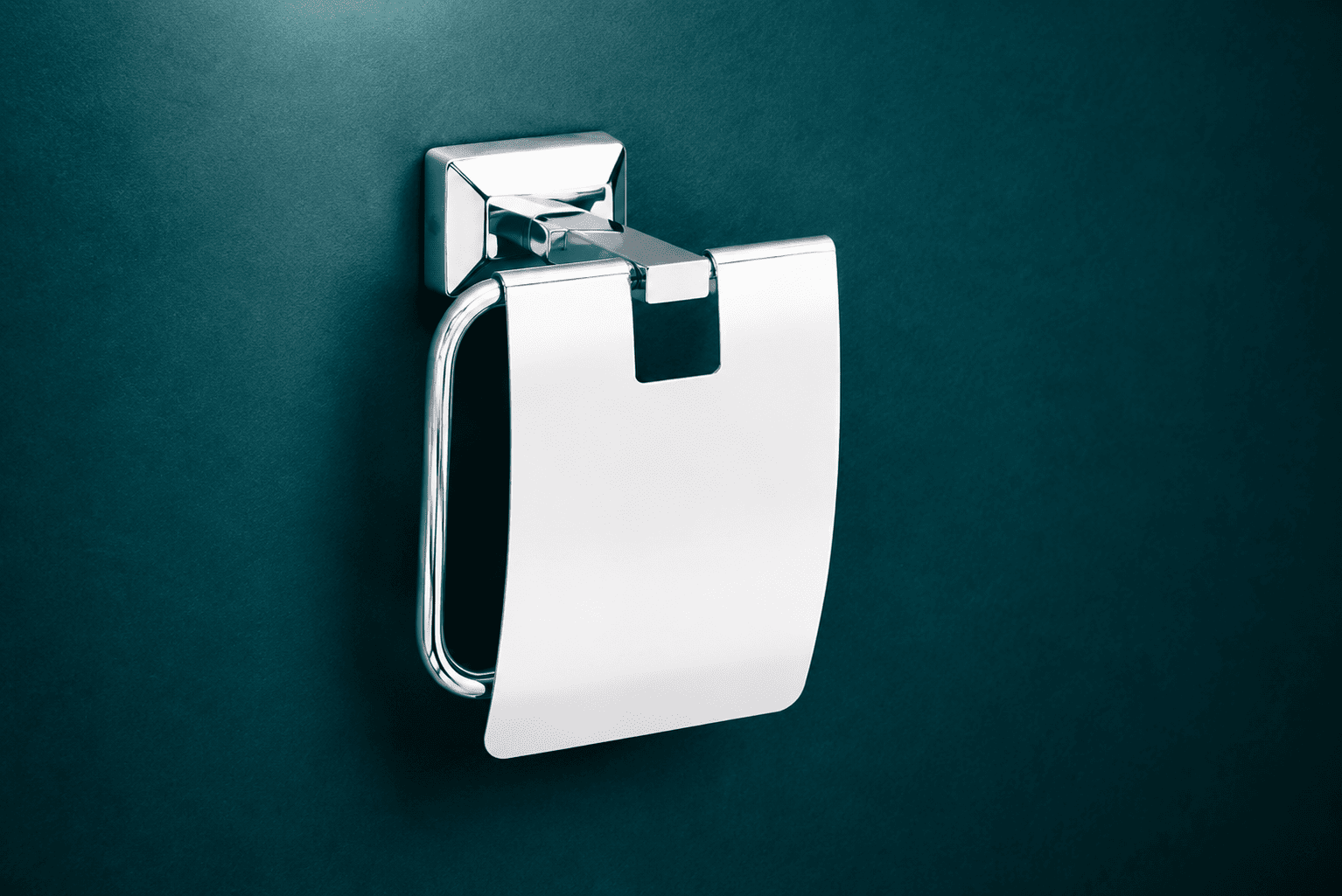 Stainless Steel Toilet Paper Holder